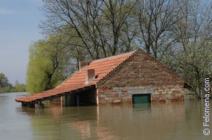 К чему снится стихийное Бедствие во сне? стихийное Бедствие по соннику