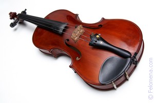 К чему снится играть на Скрипке во сне? играть на Скрипке по соннику